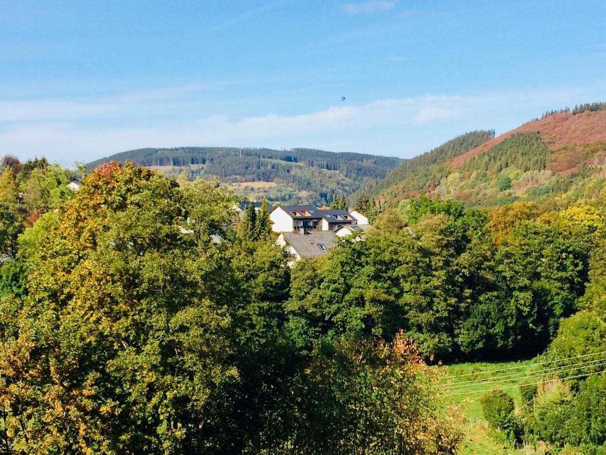 Ferienwohnung Stremme Willingen  Exterior photo